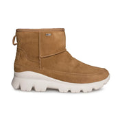 UGG Palomar Sneaker Chestnut - Women's