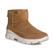 UGG Palomar Sneaker Chestnut - Women's