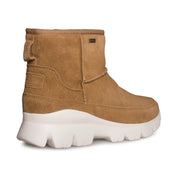 UGG Palomar Sneaker Chestnut - Women's