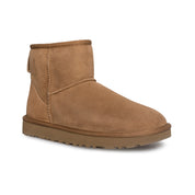 UGG Classic Mini II Chestnut Boots - Women's