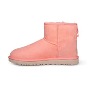 UGG Classic Mini II Shell Pink Boots - Women's