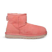 UGG Classic Mini II Clay Pot Boots - Women's