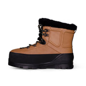 UGG Shasta Boot Mid Chestnut - All Gender