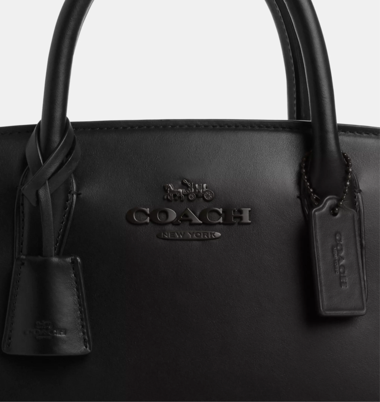 Coach Medium Andrea Carryall Leather Bag