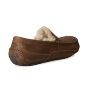 UGG Ascot Cognac Slippers - Men's