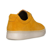 UGG Cali Sneaker Low Gold Orange Sneaker - Men's