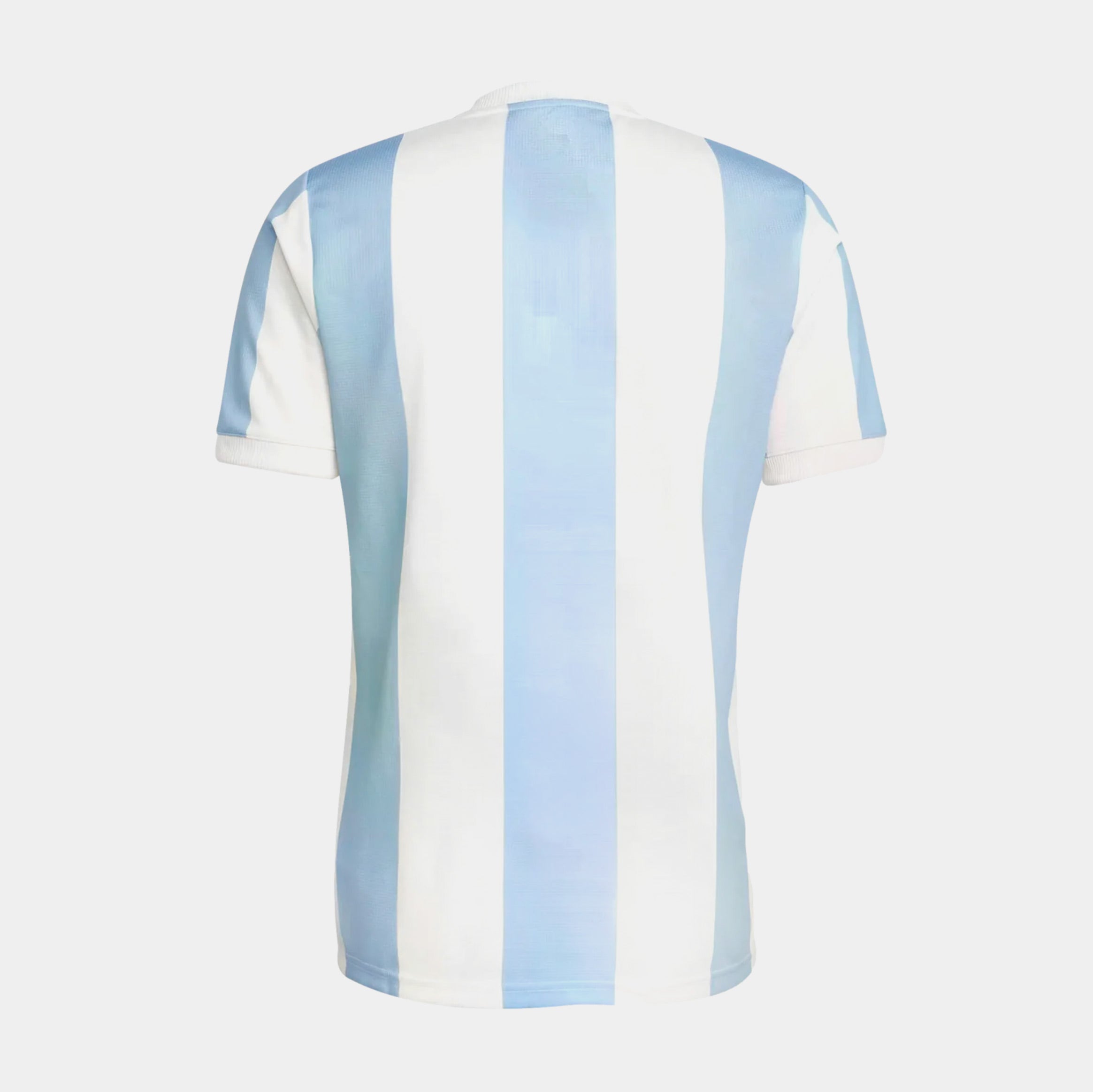 Argentina Anniversary 2024 Mens Jersey (White/Blue)