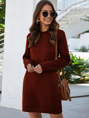 Ivy Lane Round Neck Long Sleeve Mini Dress with Pockets