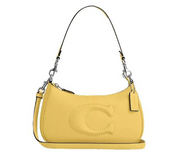 Coach Teri Shoulder Bag In Smooth Leather In Silver, Daisy