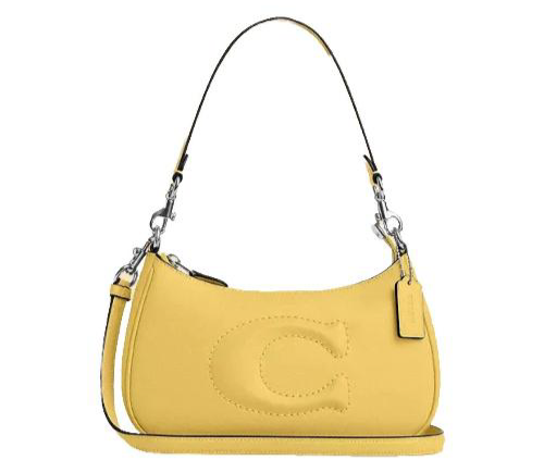 Coach Teri Shoulder Bag In Smooth Leather In Silver, Daisy