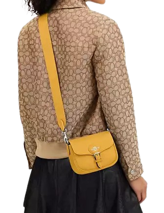 Coach-Amelia-Small-Saddle-Bag-4-02_2c3027fd-8c78-4c31-b343-60a66822ac68.png