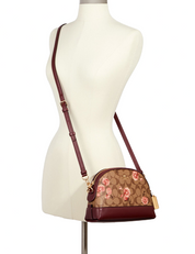 Coach Dome Crossbody In Signature Canvas With Prairie Daisy Cluster Print