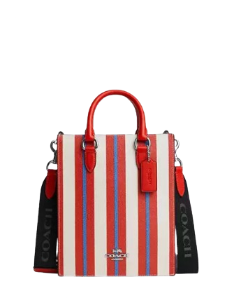 Coach-Dylan-Tote-Bag-With-Stripe-Print-4-01.png