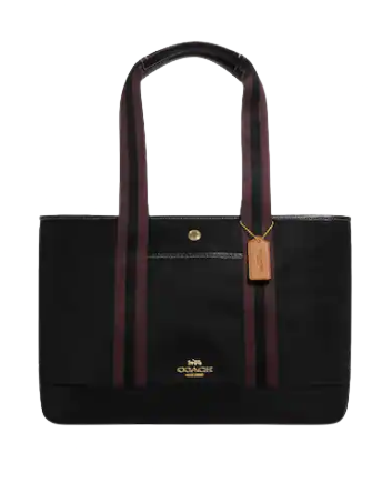 Coach-Ellis-Tote-11-01.png