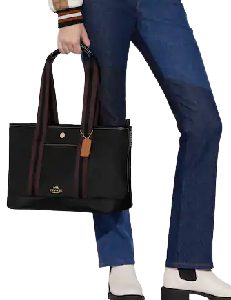 Coach-Ellis-Tote-11-02.png