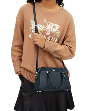 Coach-Mini-Darcie-Carryall-8-02_a06ce27d-c54d-43d0-a1a8-09dccb803cbc.png