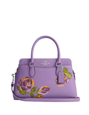 Coach Mini Darcie Carryall With Rose Print