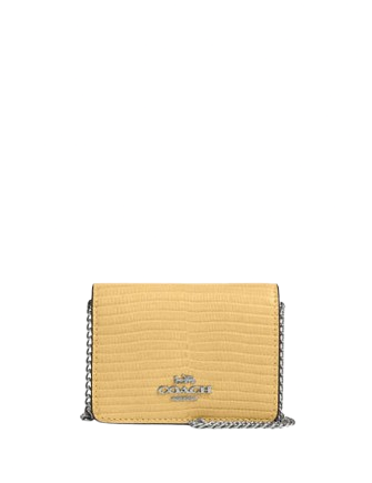 Coach-Mini-Wallet-On-A-Chain-73-01.png