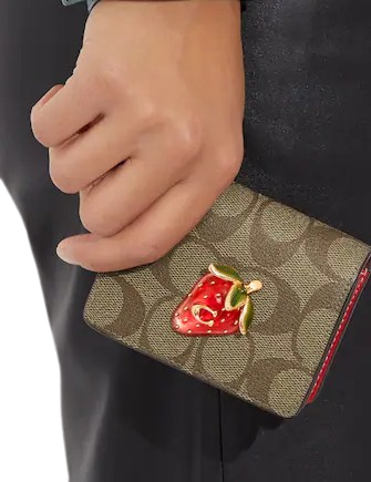 Coach-Mini-Wallet-On-A-Chain-In-Signature-Canvas-With-Strawberry-4-02.png