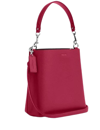 Coach Mollie Bucket Bag 22