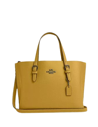 Coach-Mollie-Tote-25-4-01.png