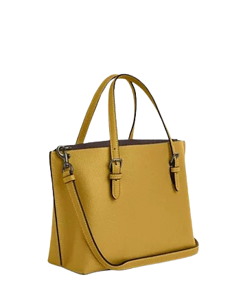 Coach Mollie Tote 25