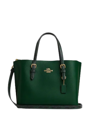 Coach-Mollie-Tote-253-01.png