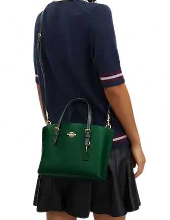 Coach-Mollie-Tote-253-02.png