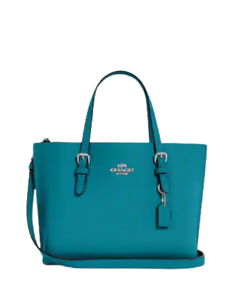 Coach-Mollie-Tote-254-01.png