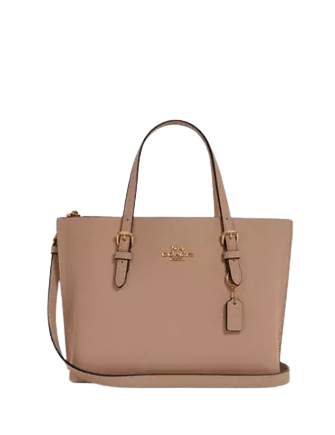 Coach-Mollie-Tote-254-01_9e350ca1-069c-413f-b7c0-2049acac0581.png