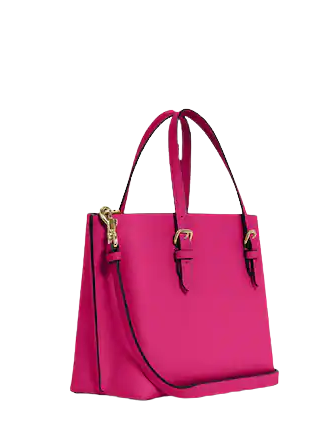 Coach Mollie Tote 25