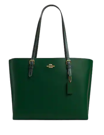 Coach-Mollie-Tote-5-01_bd327875-8935-4110-81b5-30dd838e453f.png