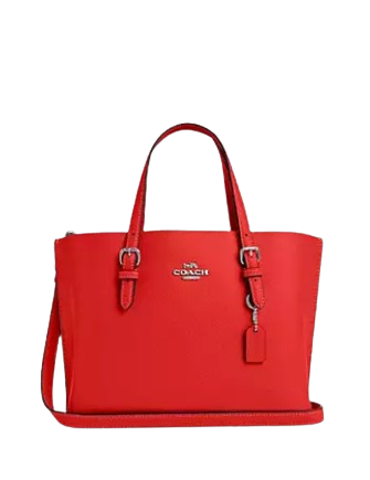 Coach-Mollie-Tote-Bag-25-4-01.png