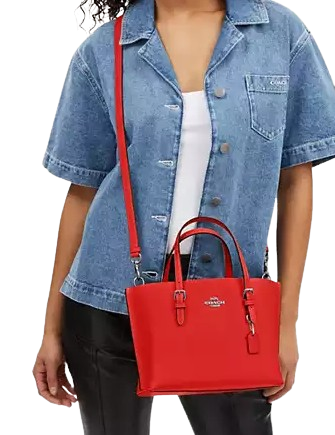 Coach-Mollie-Tote-Bag-25-4-02.png