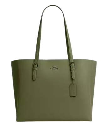 Coach-Mollie-Tote-Bag-33-01.png