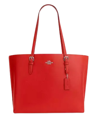 Coach-Mollie-Tote-Bag-4-01.png