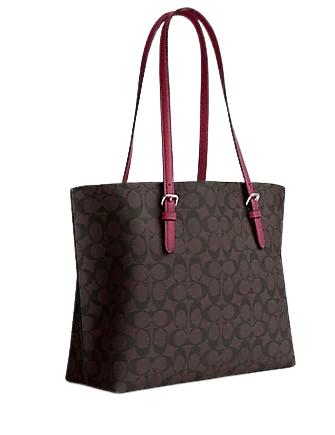 Coach Mollie Tote In Signature Canvas