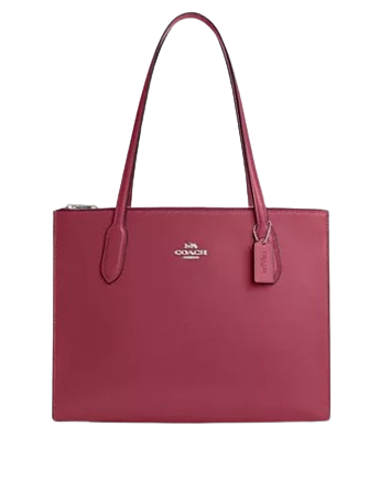 Coach-Nina-Tote-4-01.png