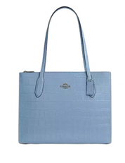 Coach Nina Carryall