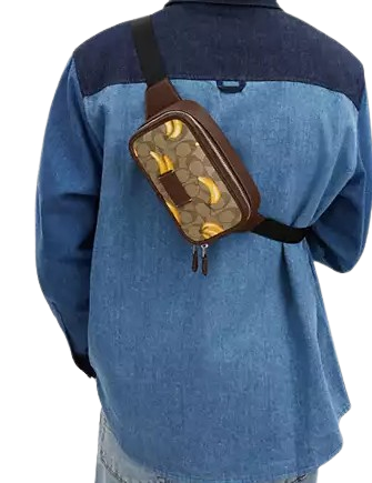 Coach-Wyatt-Belt-Bag-In-Signature-Canvas-With-Banana-Print-7-02.png