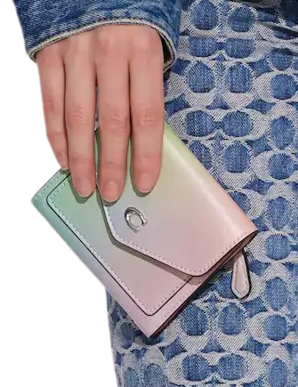 Coach-Wyn-Small-Wallet-With-Ombre-4-02.png