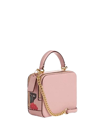 Coach Coach X Tom Wesselmann Box Crossbody