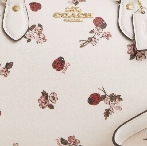 Coach Rowan Satchel Crossbody Bag With Ladybug Floral Print