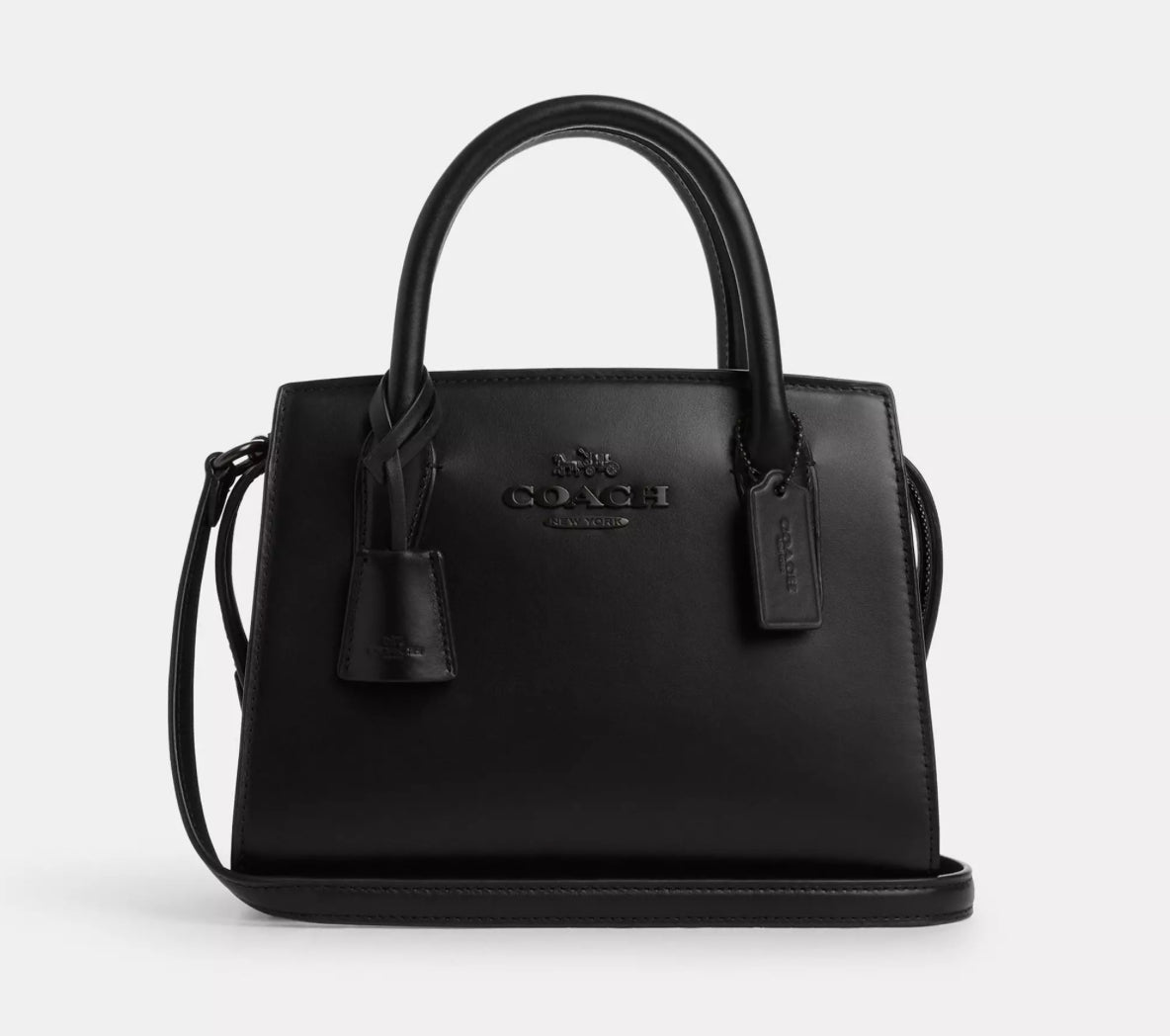 Coach Medium Andrea Carryall Leather Bag