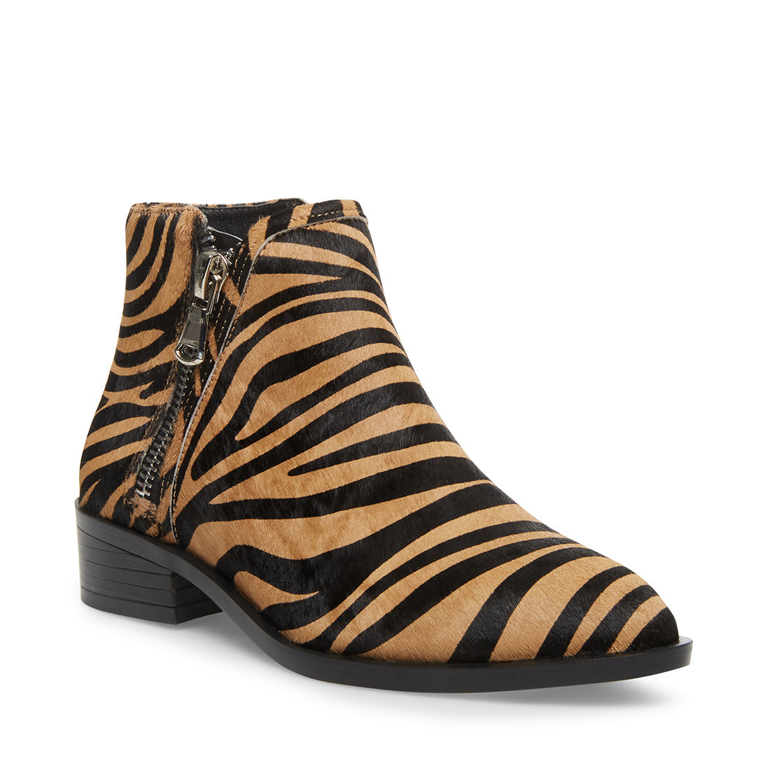 STEVEMADDEN-STEVEN_HICKORY_TIGER.jpg