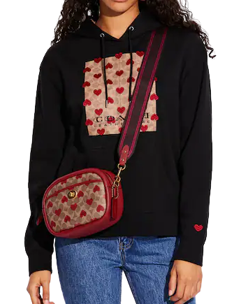 coach-camera-bag-in-signature-canvas-with-heart-print-01.png