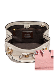 Coach Micro Ally Bucket Bag