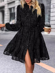 Lace Button Down Long Sleeve Mini Dress