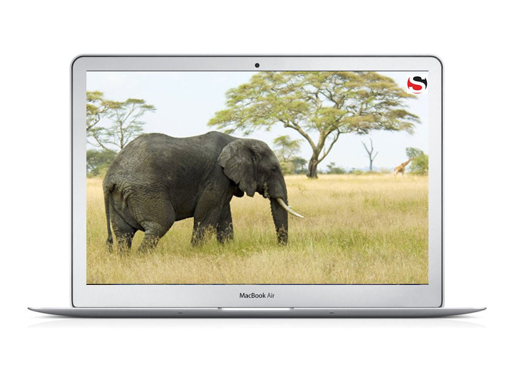 macbookair_elephant__43120.1642204635.1280.1280.jpg