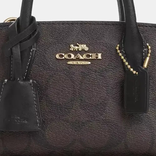 Coach Andrea Mini Carryall Handbag Crossbody In Signature Canvas & Leather